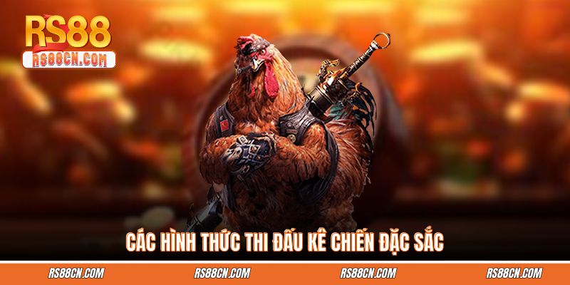 Các hình thức thi đấu kê chiến đặc sắc