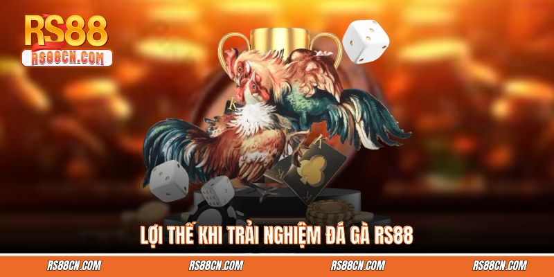 Những lợi thế đặc biệt khi đặt cược gà