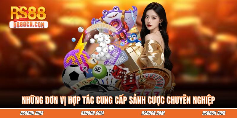 Những đơn vị hợp tác cung cấp sảnh cược chuyên nghiệp