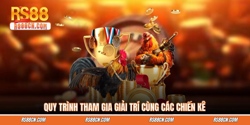 Quy trình tham gia giải trí cùng các chiến kê Quy trình tham gia giải trí cùng các chiến kê