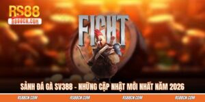 Sảnh Đá Gà SV388 - Những Cập Nhật Mới Nhất Năm 2026